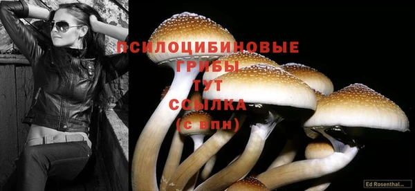 spice Пролетарск