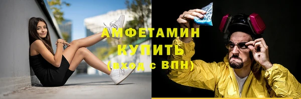 винт Абаза